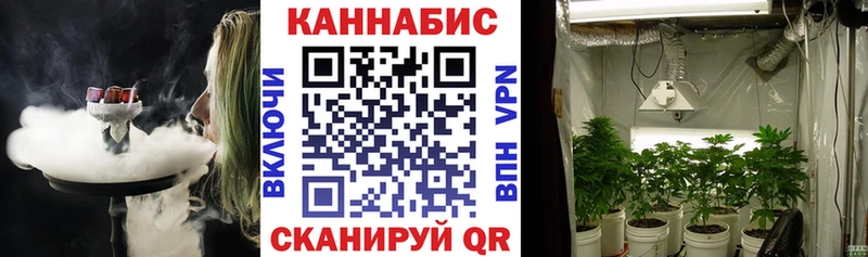 МАРИХУАНА конопля  купить наркотик  мориарти Telegram  Канаш  кракен как зайти 